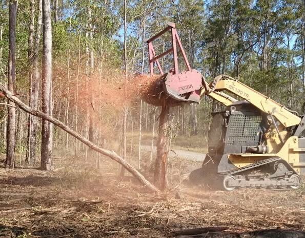 Forestry mulcher clearing vegetation