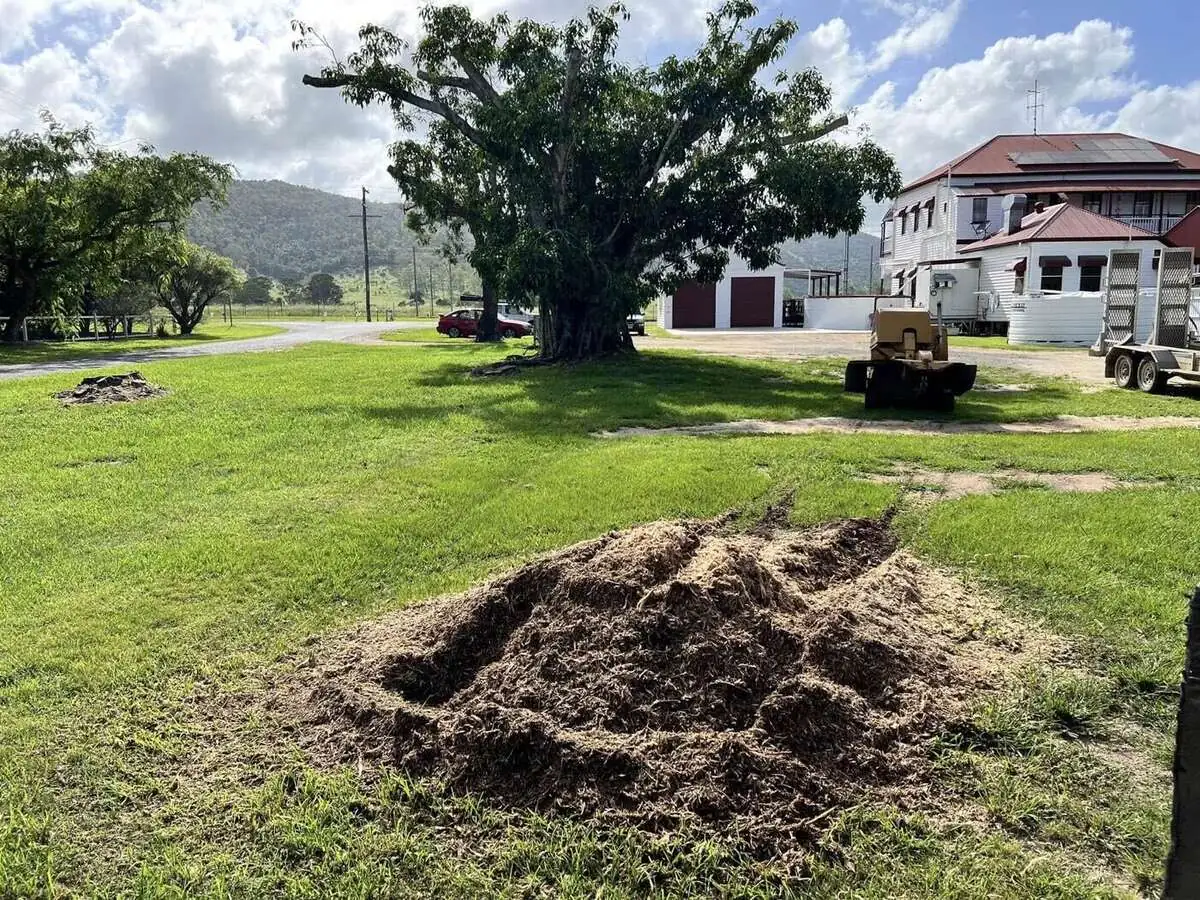 Stump grinding at the Theebine Hotel