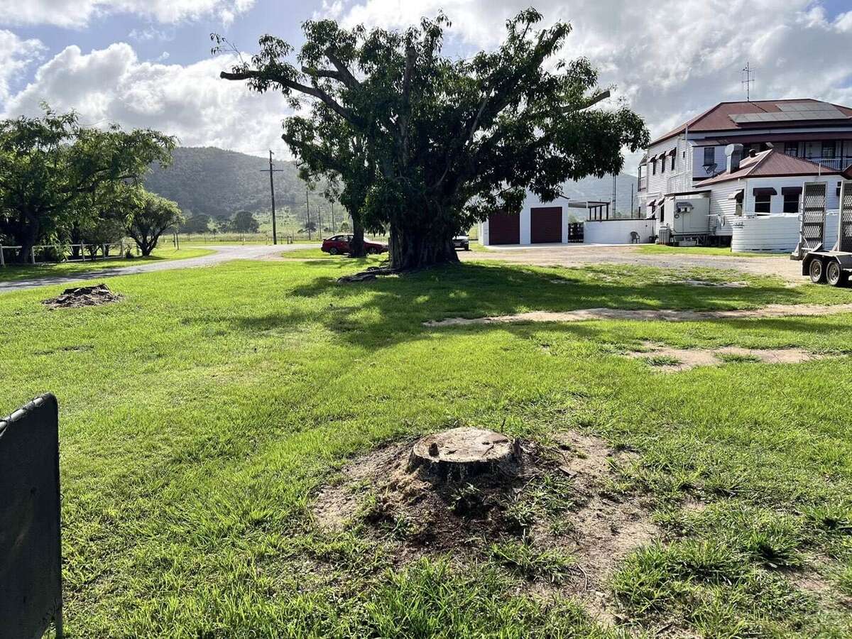 Stump ground out and cleaned up