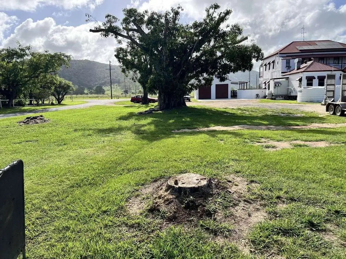 Stump ground out and cleaned up
